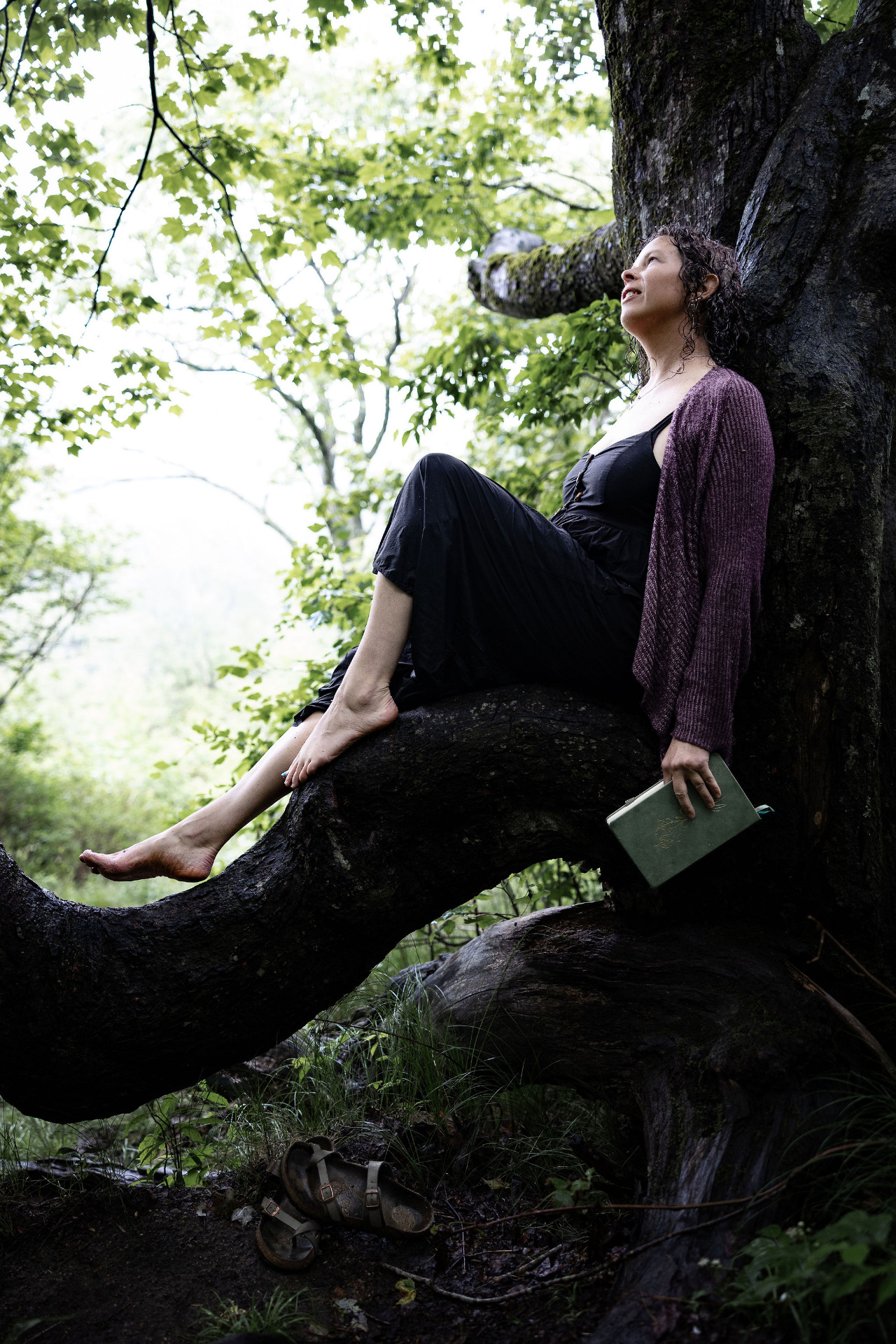 Rachelle sitting barefoot on a mossy tree branch in the forest, holding a green journal, looking up through the canopy