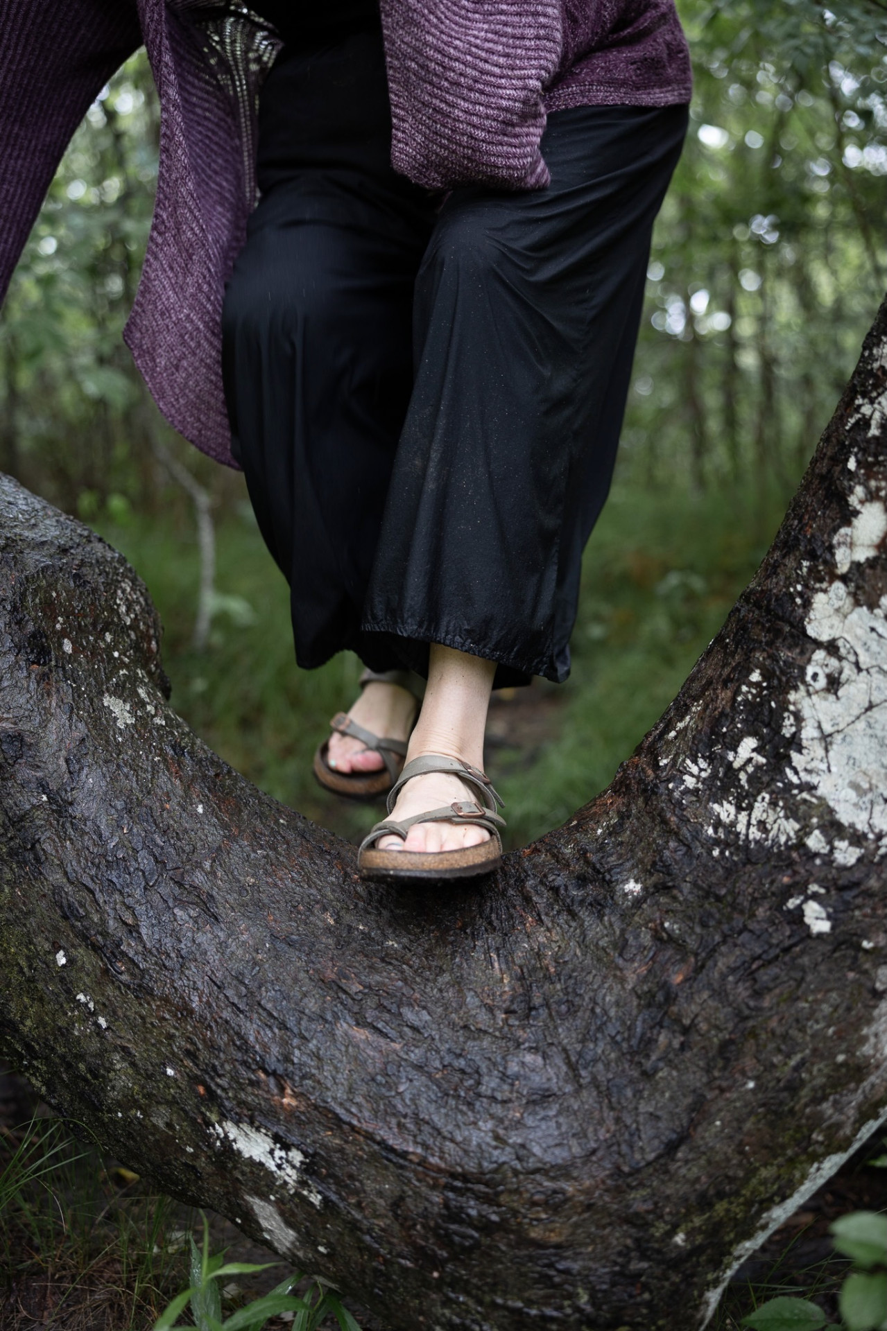Bare feet resting on a mossy fallen tree.